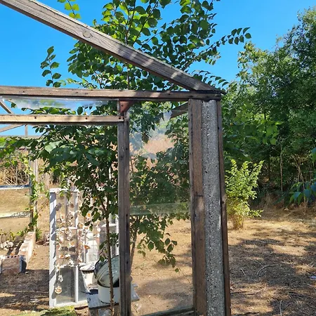 Case de vacanță Haus Sunset *